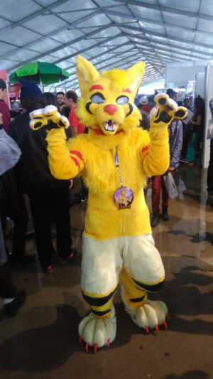 Anime Friends 2016 Cosplays 3