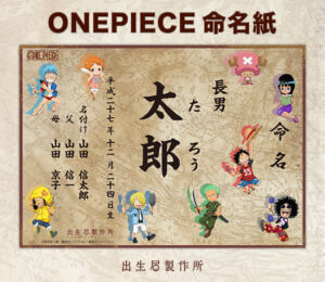 One Piece Certidão de Nascimento 11 Tripulação