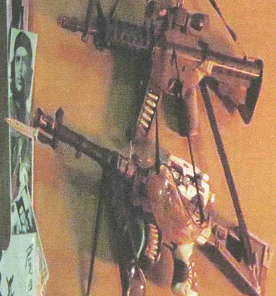 One-Piece-Dai-Shimbun-Estúdio-Oda-4-Che-Guevara