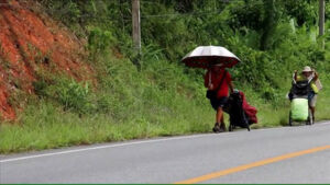 Expedition one piece fran%c3%a7ais 2 columbus dominique