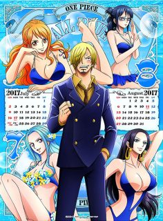 One piece calendar calendário 2017 4 julho agosto