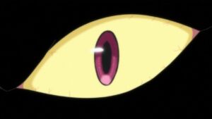 One Piece Episódio 759 11 Nekomamushi