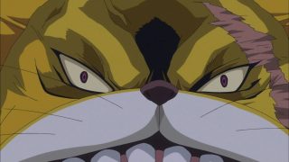 One piece episódio 759 13 nekomamushi