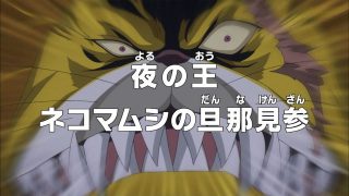 One piece episódio 759 17 nekomamushi