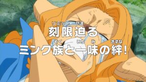 One Piece Episódio 761 19 Wanda