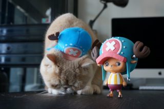 One piece creator x creator tony tony chopper 1