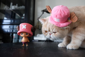 One Piece Creator x Creator Tony Tony Chopper 2