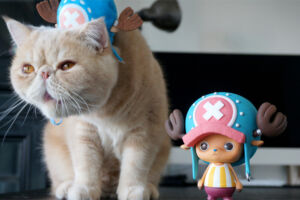 One Piece Creator x Creator Tony Tony Chopper 3