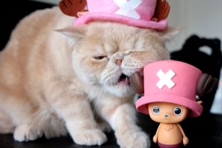 One piece creator x creator tony tony chopper 4