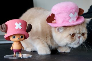 One piece creator x creator tony tony chopper 6