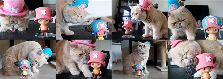 One-piece-creator-x-creator-tony-tony-chopper