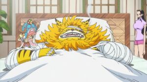 One Piece Episódio 765 12 Chopper Nekomamushi Robin
