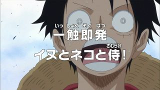 One piece episódio 767 14 luffy