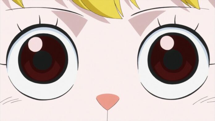 One Piece Episodio 778 1 Carrot