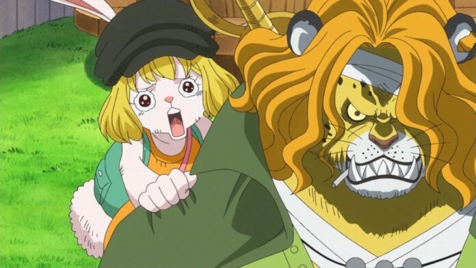 One Piece Episodio 778 16 Carrot Pedro