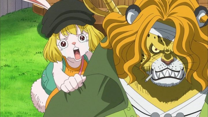 One piece episodio 778 16 carrot pedro