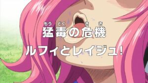 One Piece Episodio 785 15 Reiju