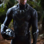 Pantera Negra Black Panther 2 TChalla