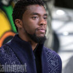 Pantera Negra Black Panther 8 TChalla