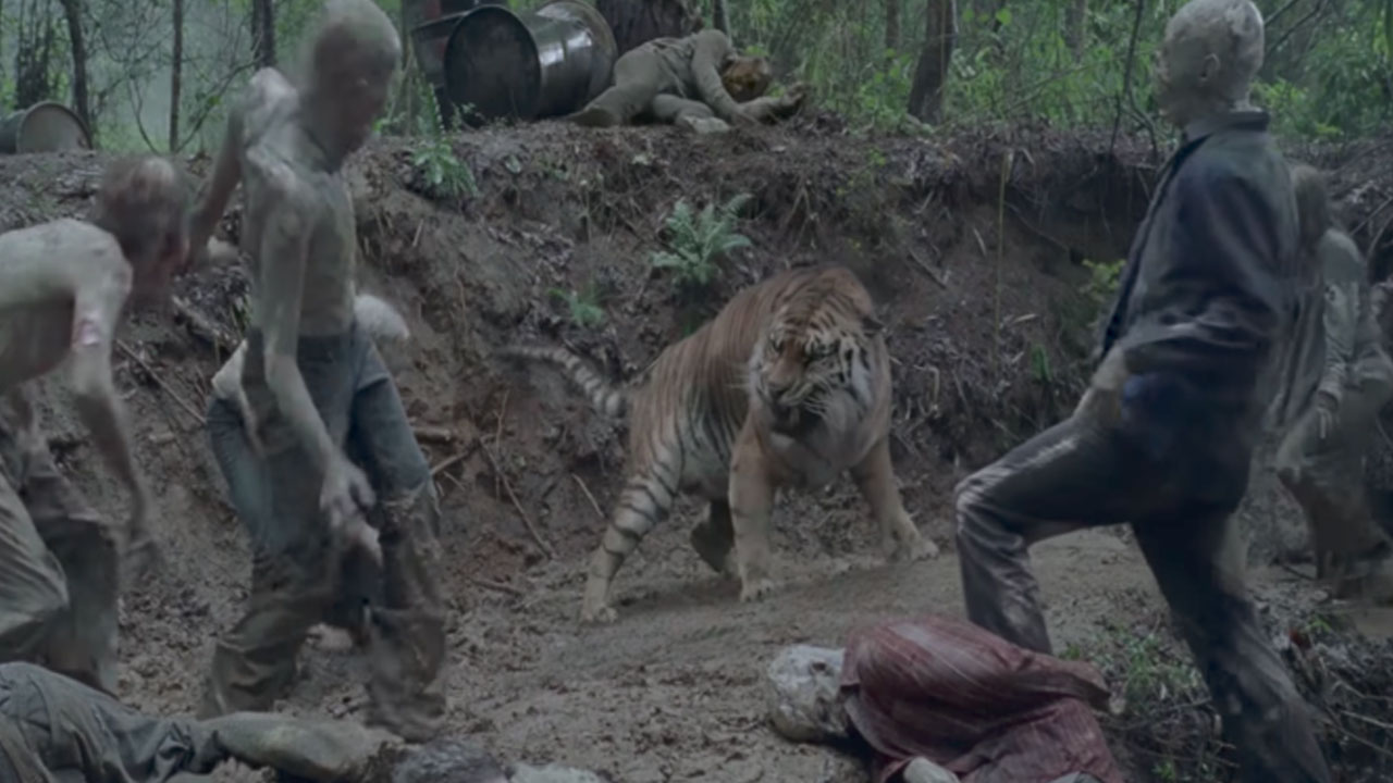 The walking s08e04 shiva morte