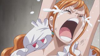 One piece episodio 818 7 nami