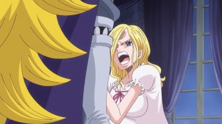 One piece episodio 819 4 sora vinsmoke