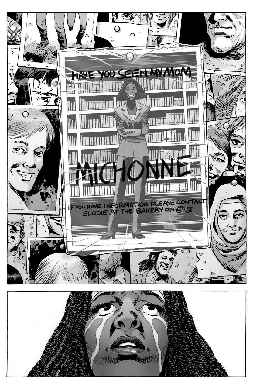 The walking dead hq 175 michonne