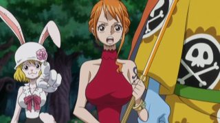 One piece episodio 846 nami carrot