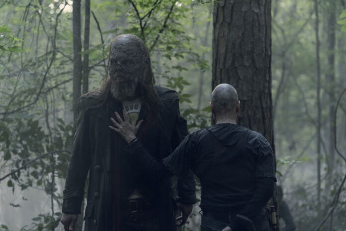 the-walking-dead-s10e05-imagem-oficial-20-beta-alpha