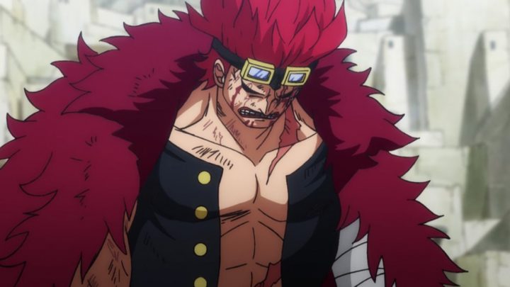 One Piece - Veja quais personagens já despertaram as suas Akuma no Mi -  Critical Hits