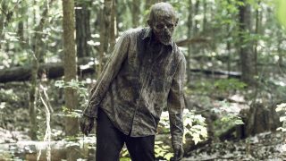 Um zumbi vagando pela floresta, no 5º episódio da 10ª temporada de the walking dead.