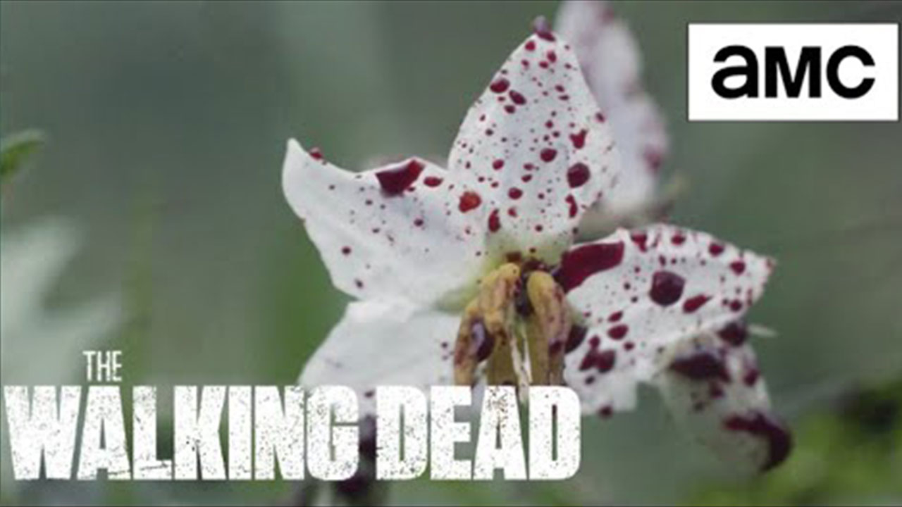Cena de abertura do 19º episódio da 10ª temporada de The Walking Dead (S10E19 - "One More").