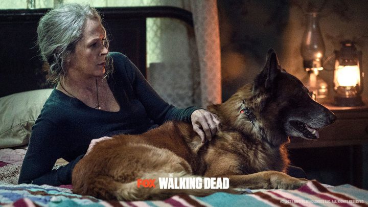 Carol e cão no 21º episódio da 10ª temporada de the walking dead (s10e21 - "diverged").