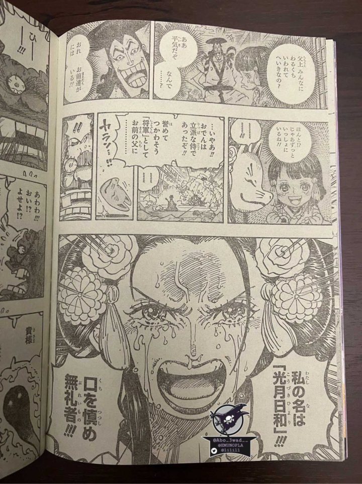 Spoilers Completos do Mangá 1044 de One Piece