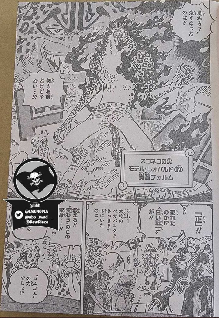 One Piece  Primeiros spoilers do mangá 1069