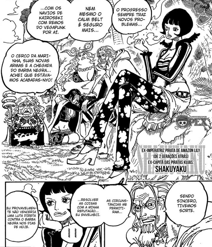 One piece manga 1059 rayleigh velho