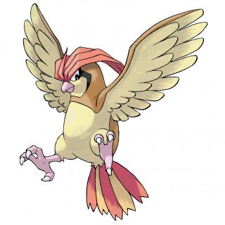 Pokemon pokedex 0017 pidgeotto