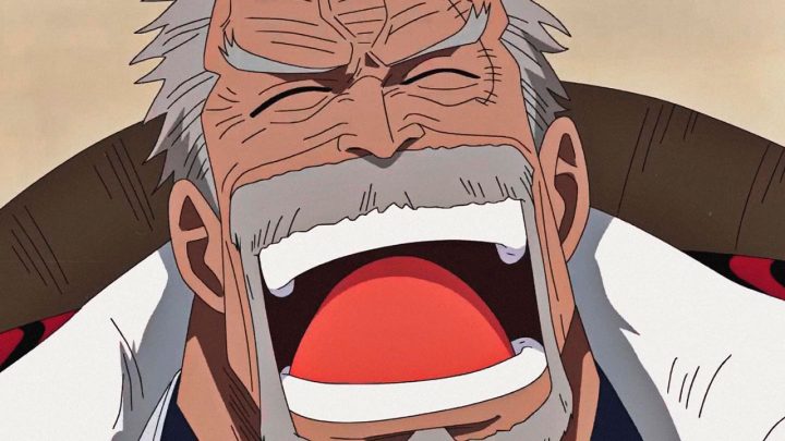 One piece anime garp rindo postcover