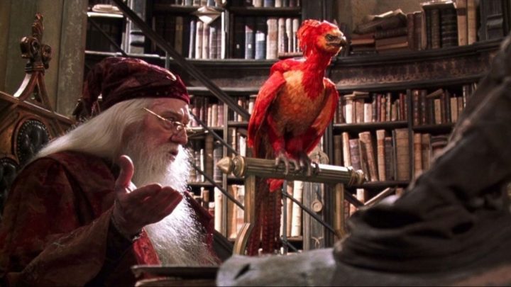 Harry potter e a camara secreta dumbledore fawkes postcover