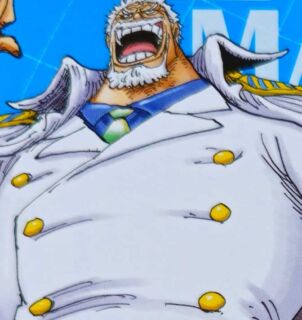 One piece vivrecards novembro 2024 garp