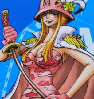 One piece vivrecards novembro 2024 kujaku 1